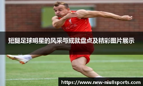 牛八体育官方网站