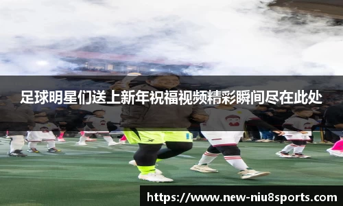 牛八体育官方网站