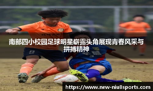 牛八体育官方网站