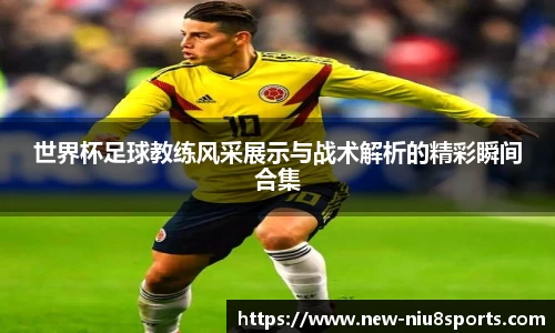 世界杯足球教练风采展示与战术解析的精彩瞬间合集